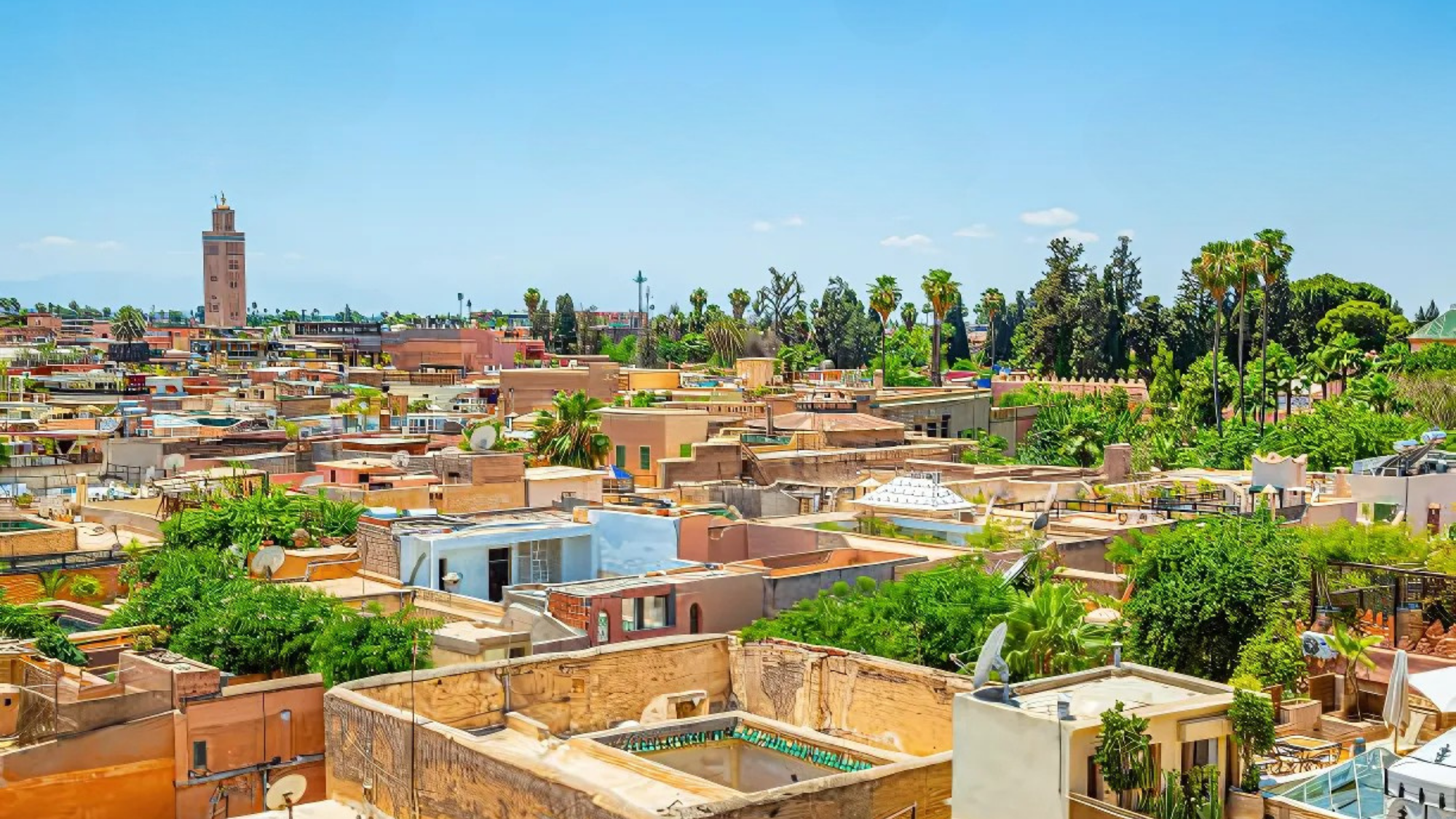 flat rooftops and terraces