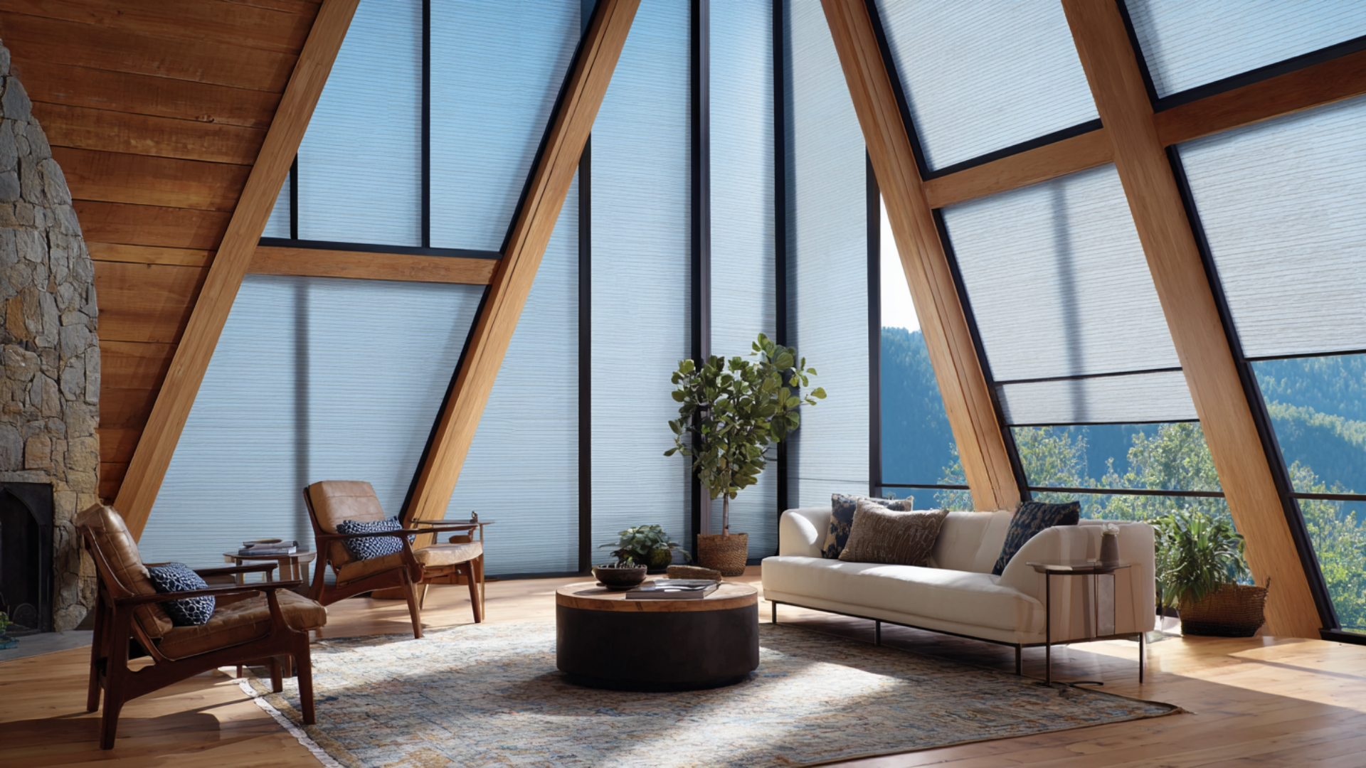 maximize window treatments